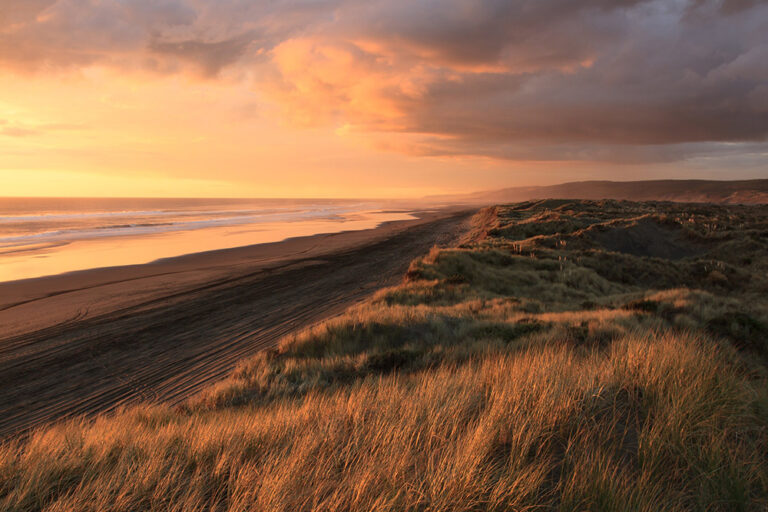 golden hour at the beach