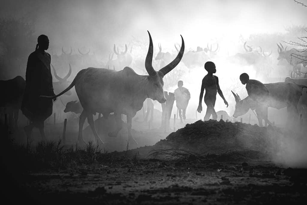 Mundari cattle camp by Svetlin Yosifov